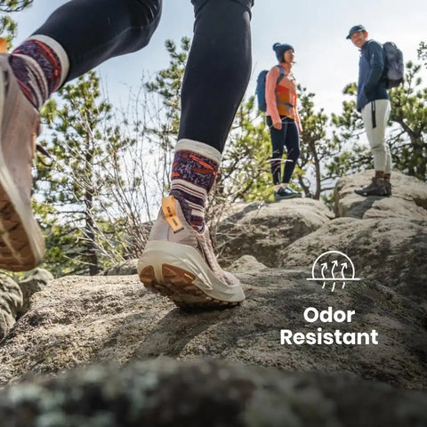 Smartwool Women's Snowboard Targeted Cushion Valley Sunset Over The Calf Socks